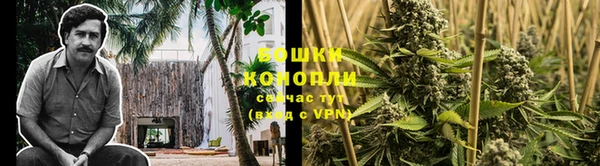 прущие крисы Беломорск
