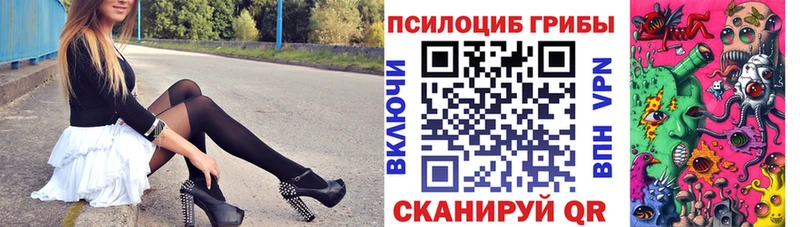 купить наркотик  Невельск  сайты даркнета клад  Псилоцибиновые грибы Cubensis  omg онион 